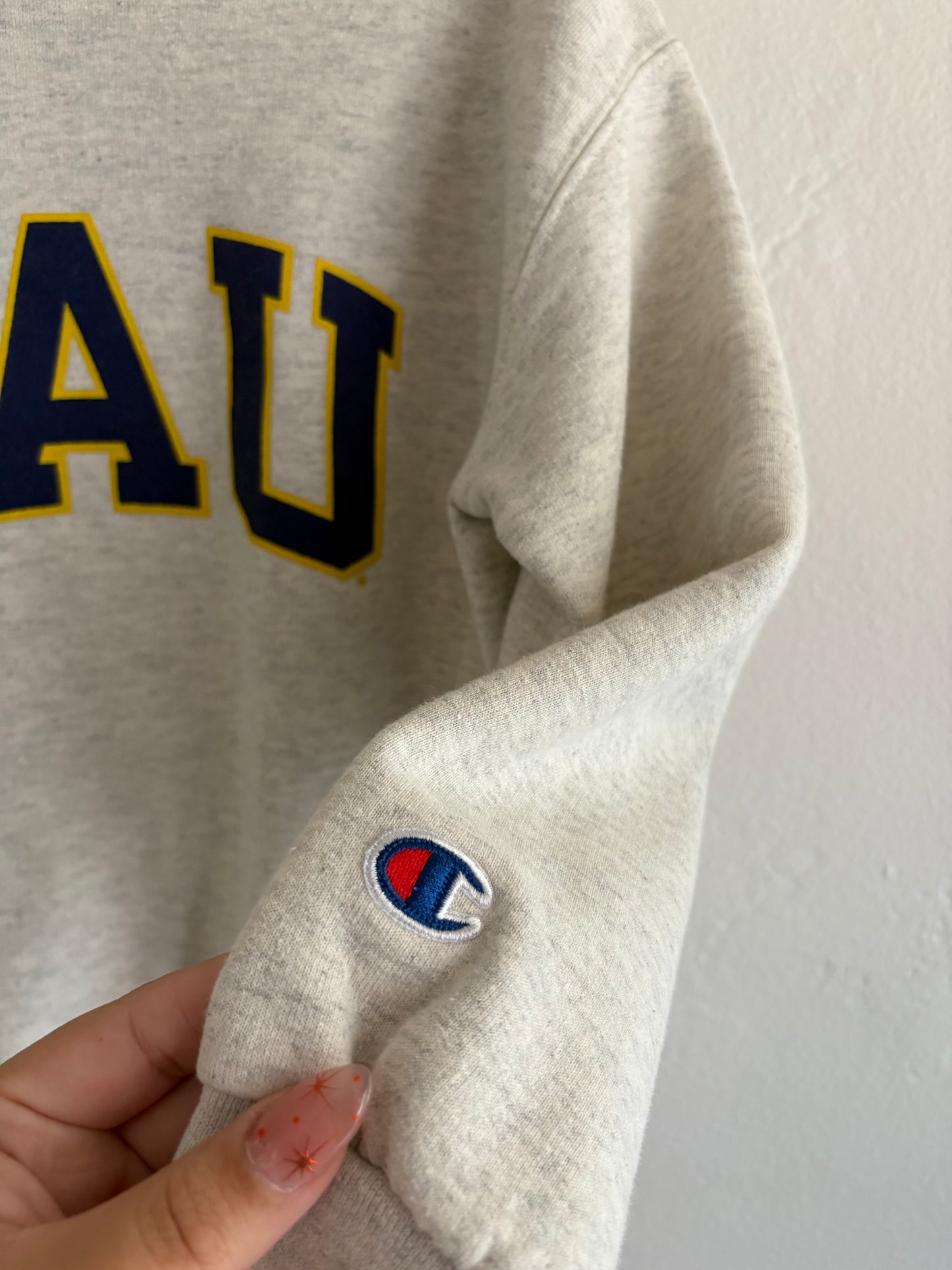 vintage NAU crewneck (6/7)