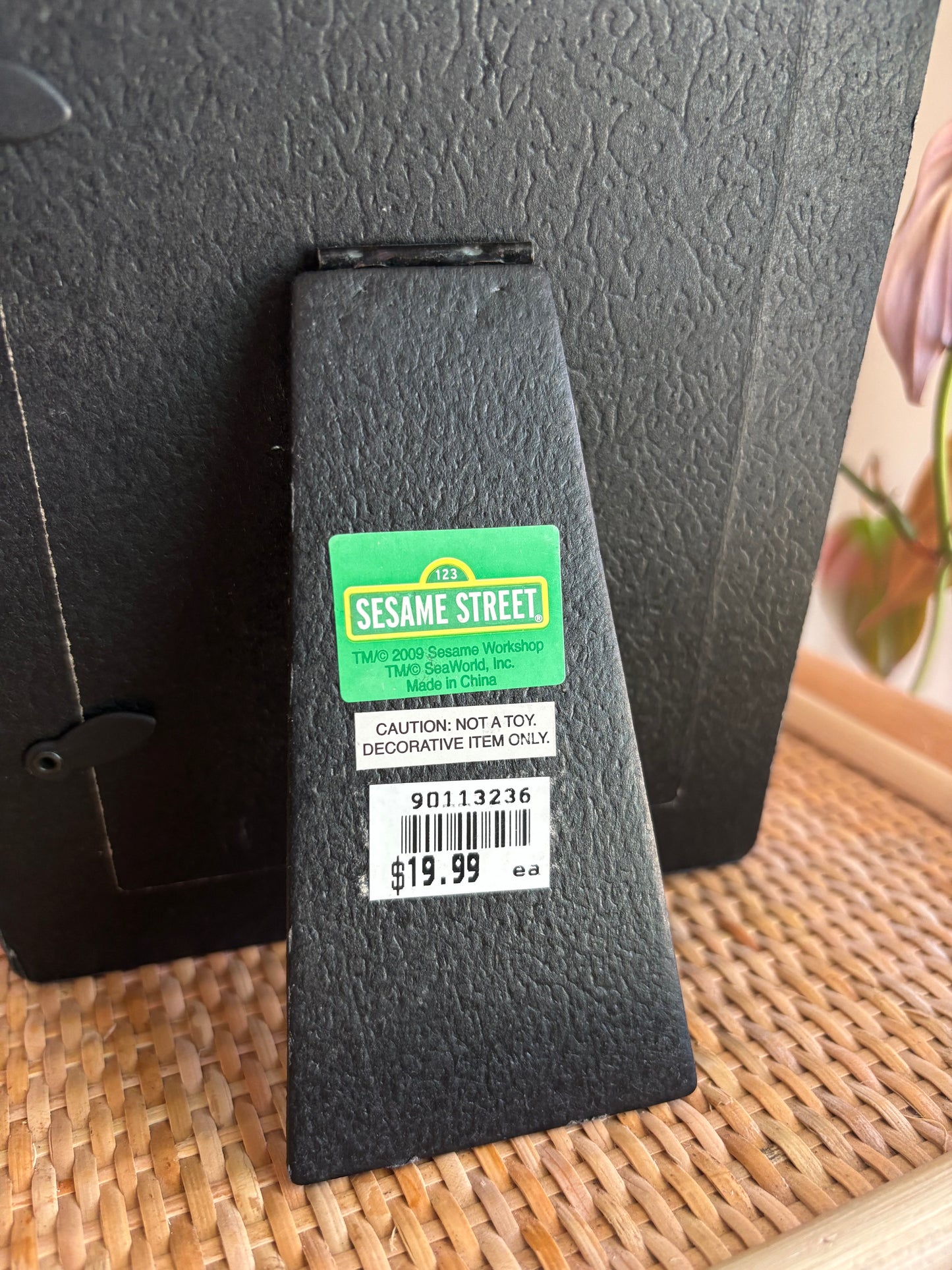 vintage y2k zoe frame