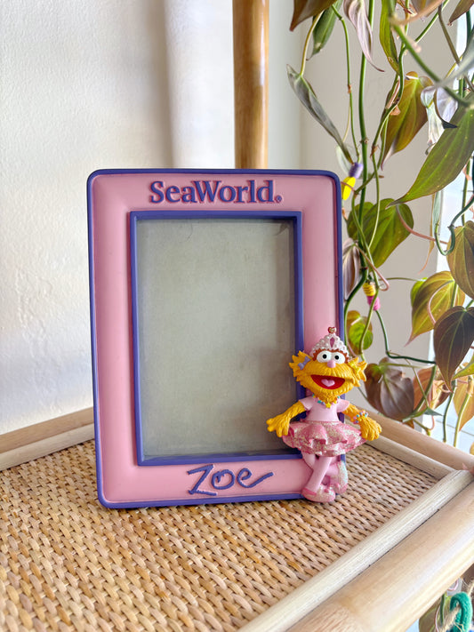 vintage y2k zoe frame
