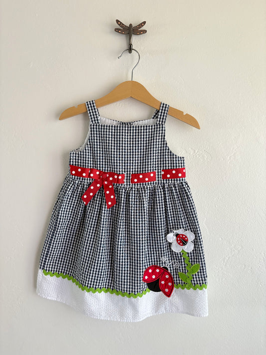 gingham ladybug dress (24M)