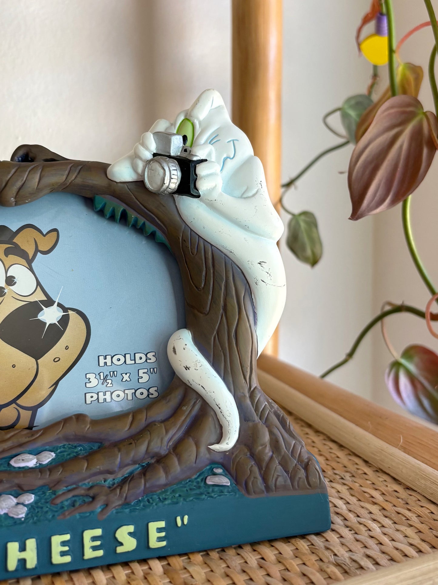 vintage (rare) scooby doo frame