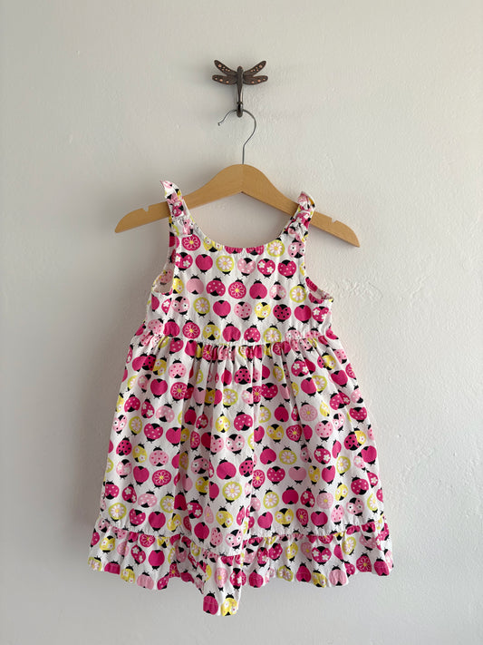 vintage y2k gymboree ladybug dress (2T)