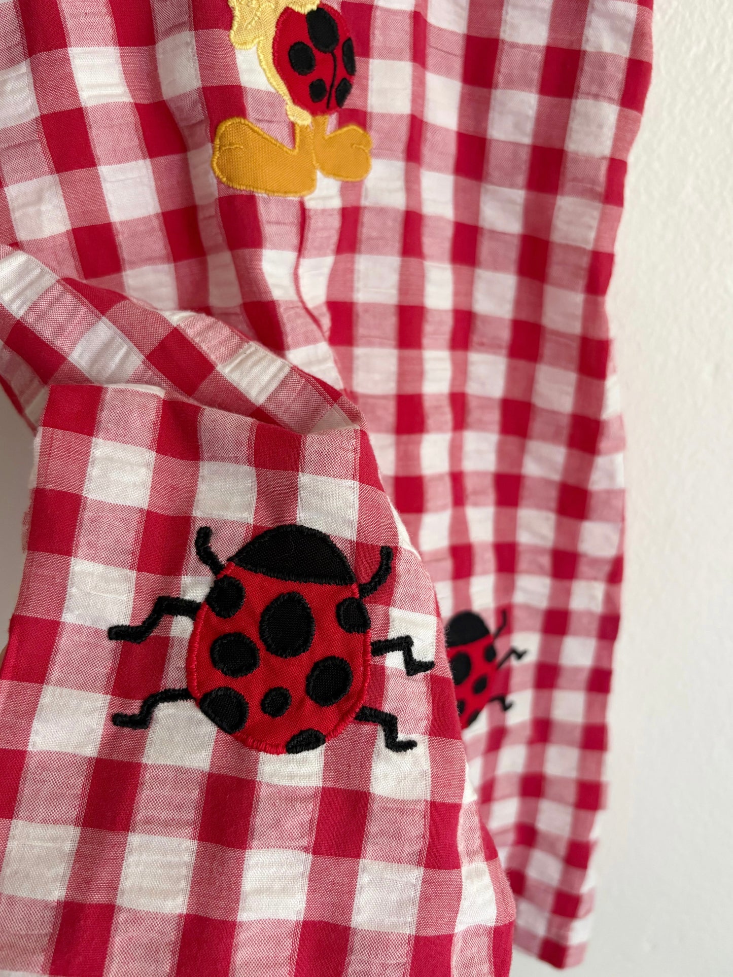 gingham ladybug tweety overalls (12/18M) *handmade upcycle, please read!*