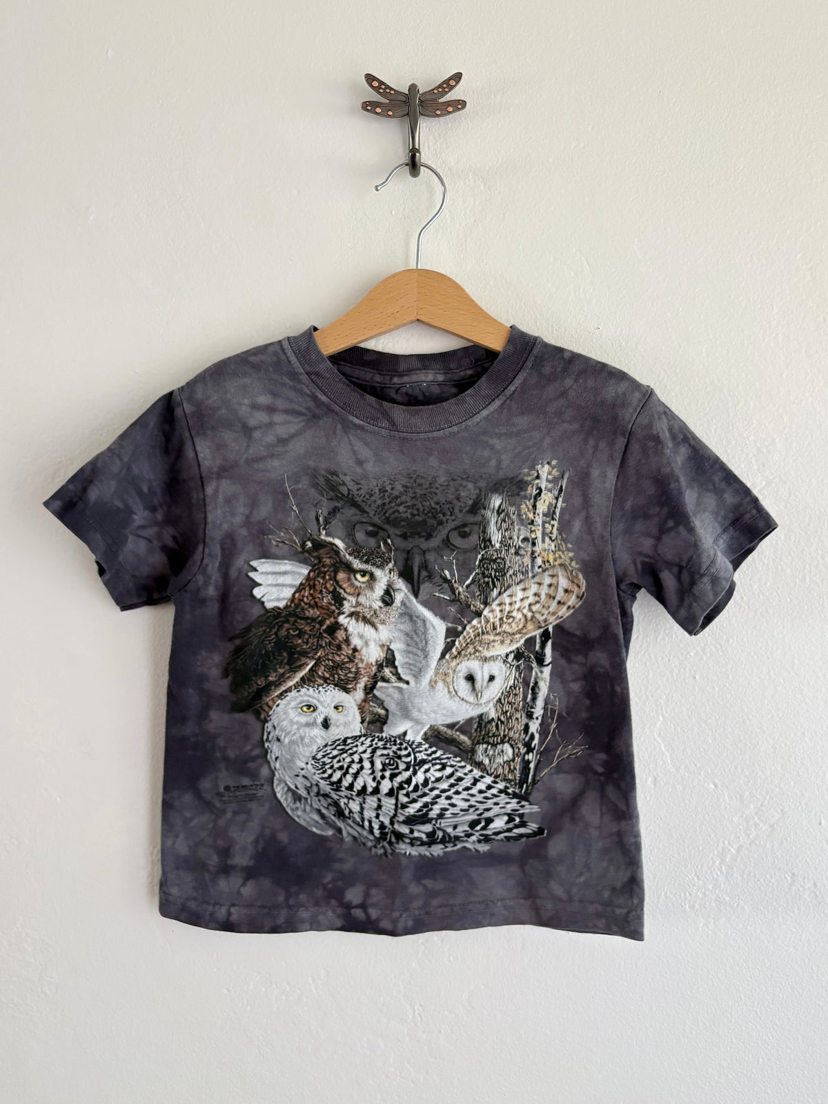 vintage 'the mountain' tee (4)