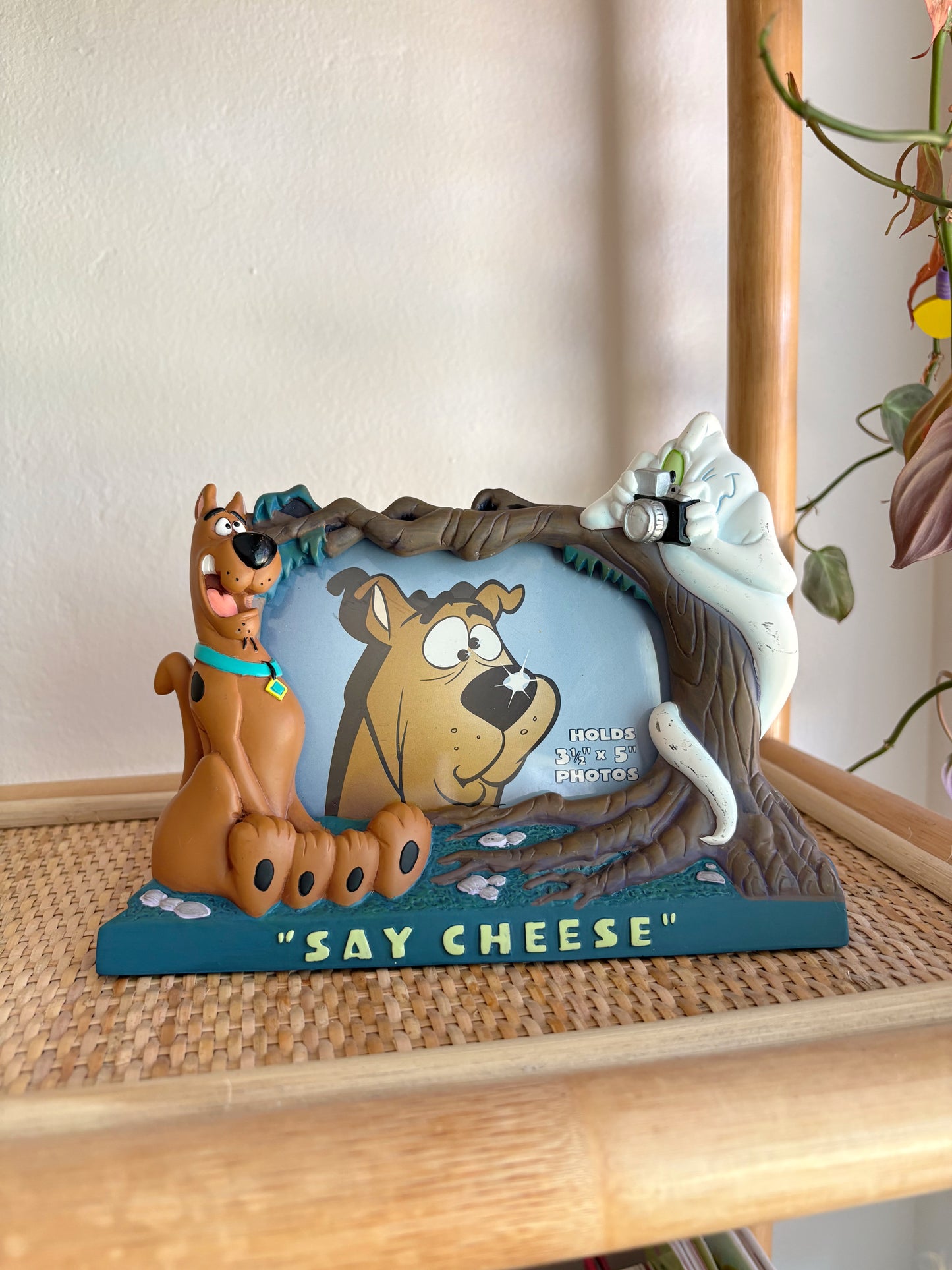 vintage (rare) scooby doo frame