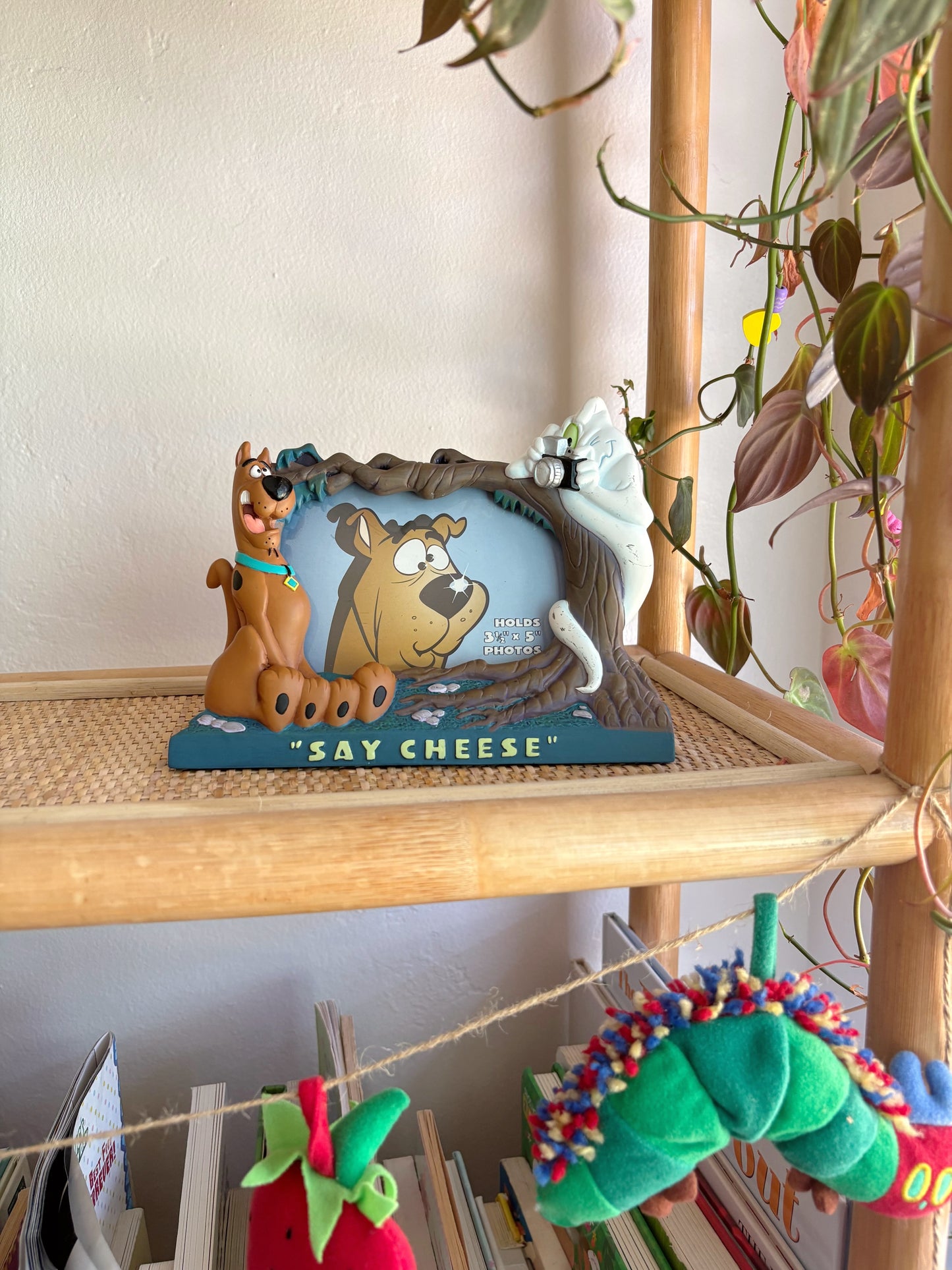 vintage (rare) scooby doo frame