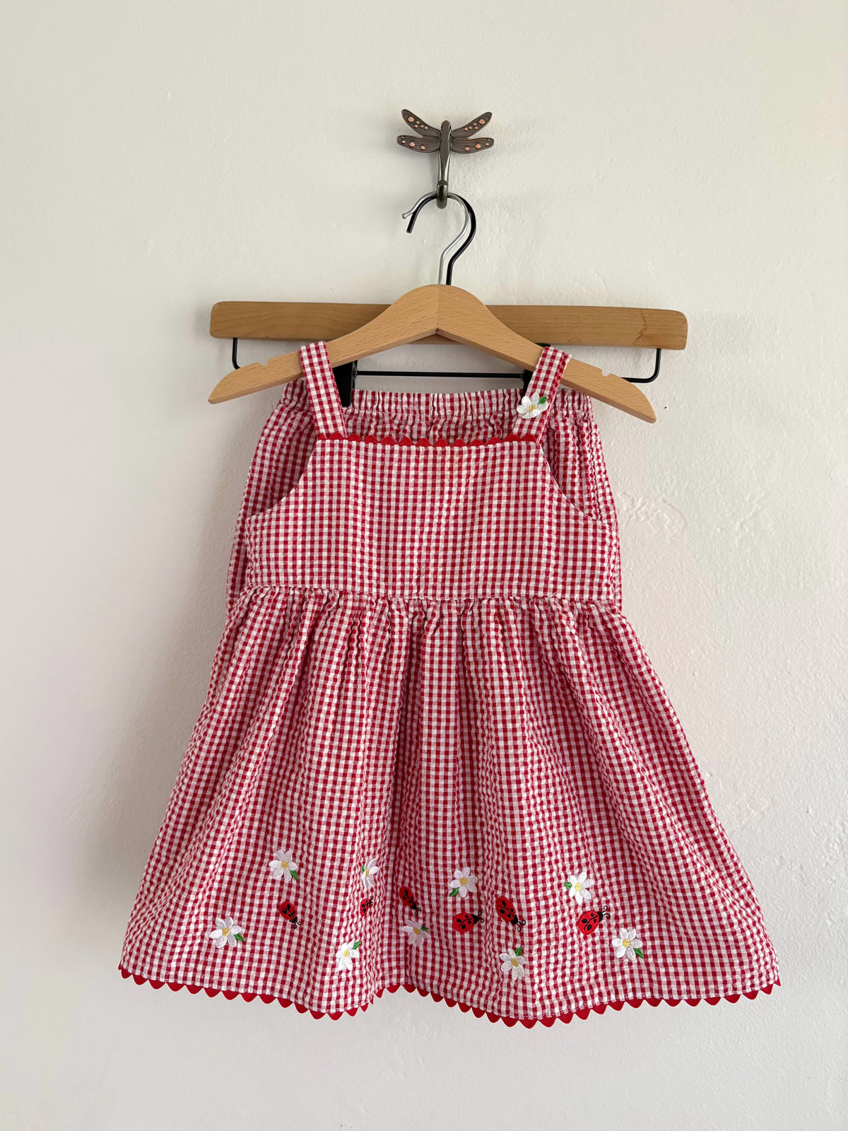 vintage gingham ladybug set (24M)