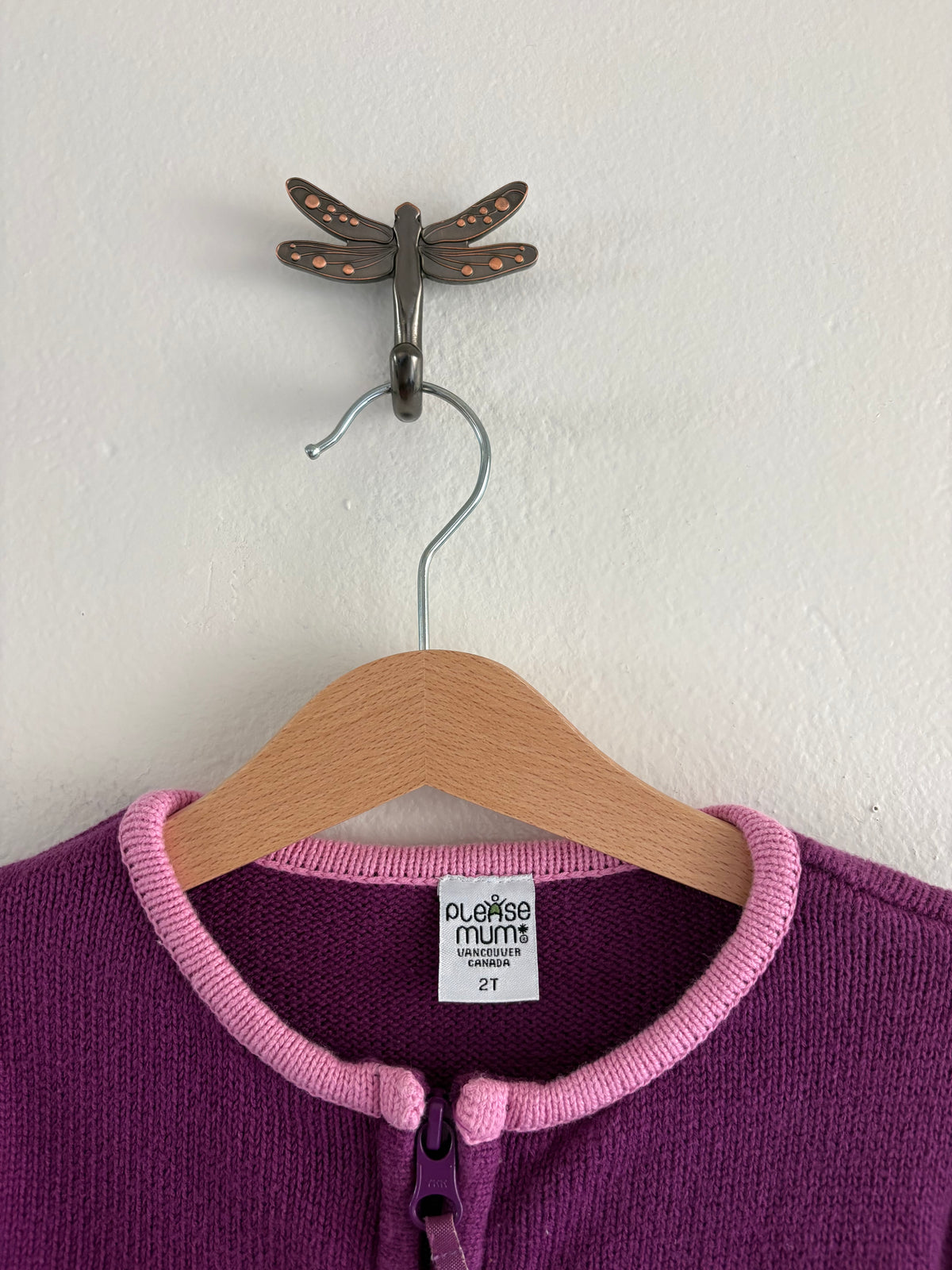 princess sweater (2T)