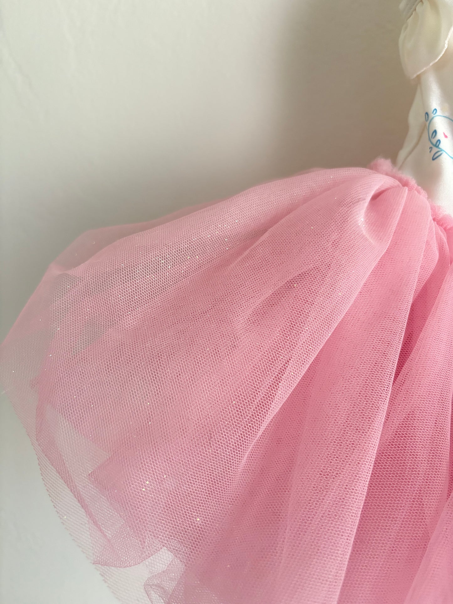 fancy nancy leotard/tutu (2T)