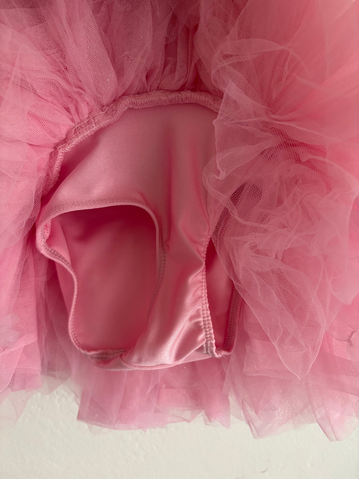 fancy nancy leotard/tutu (2T)