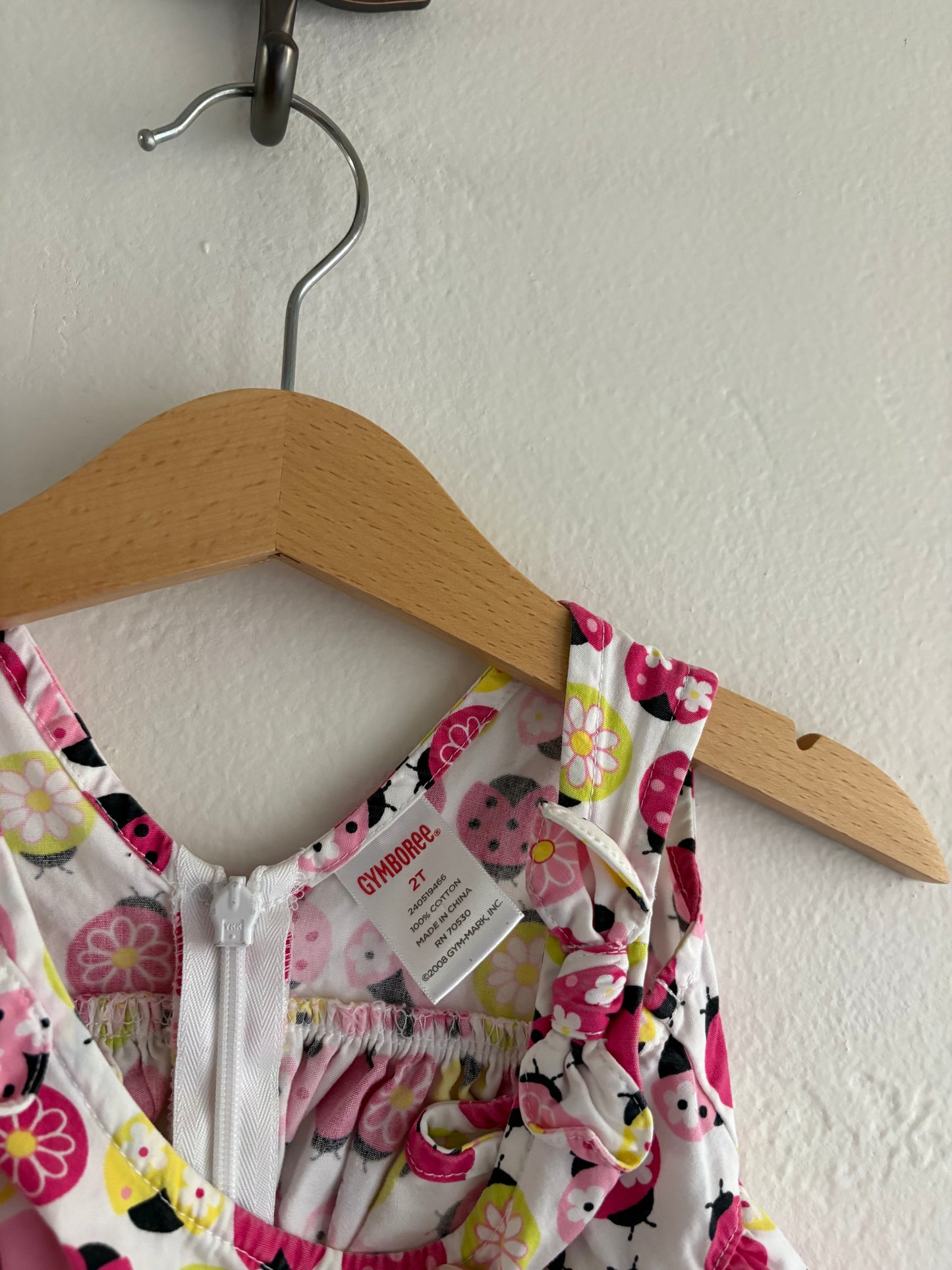 vintage y2k gymboree ladybug dress (2T)