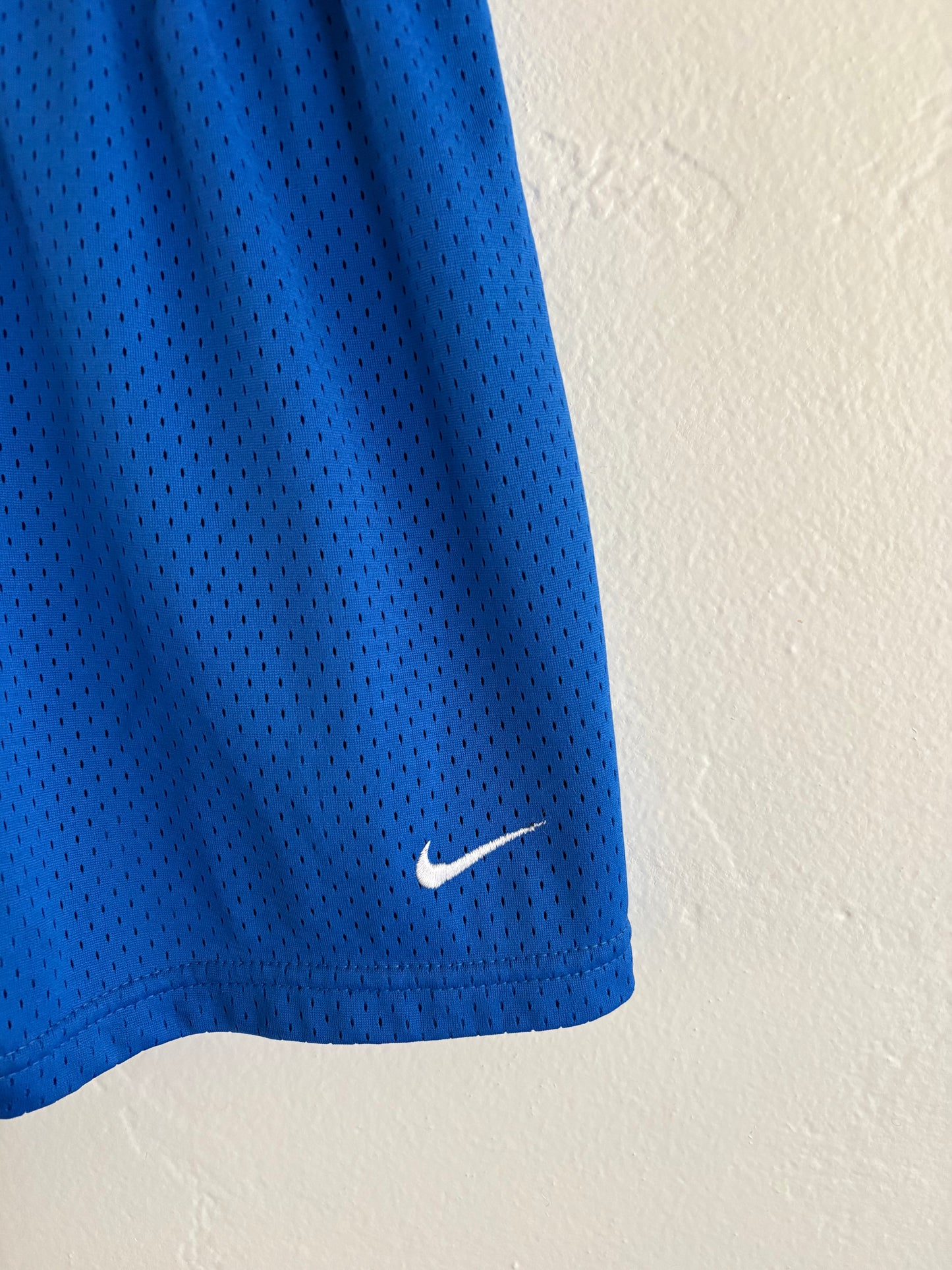 vintage nike shorts (3/4T)