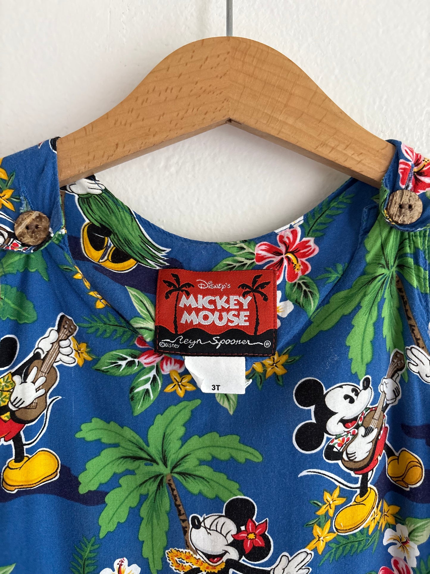 vintage mickey & minnie dress (3T)