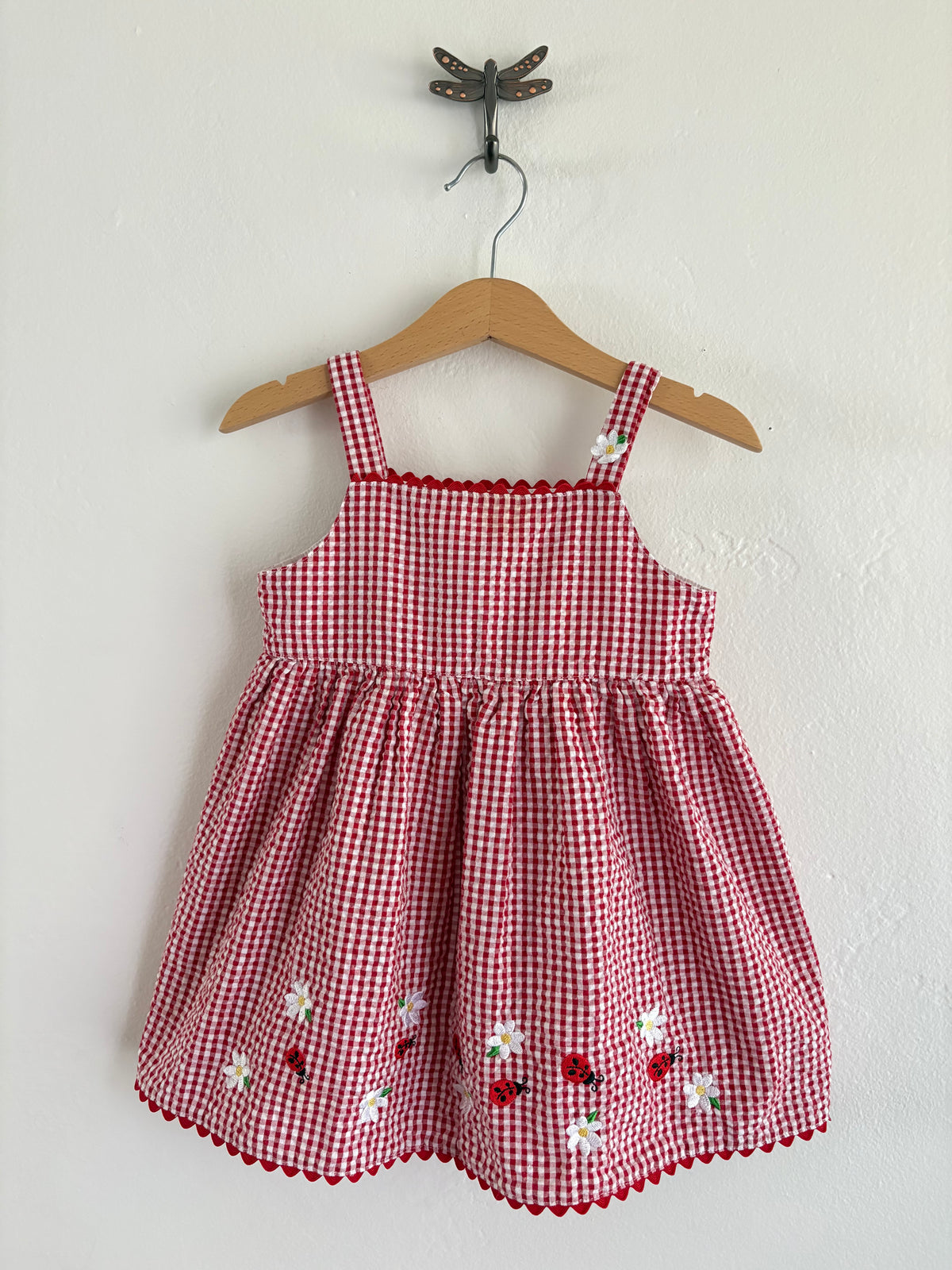vintage gingham ladybug set (24M)